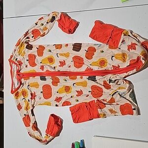 12-18 EUC LS Pumpkins & Gourds Zippy